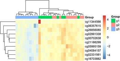 The Joint Analysis of Multi-Omics Data Revealed the Methylation-Expression Regulations in Atrial Fibrillation